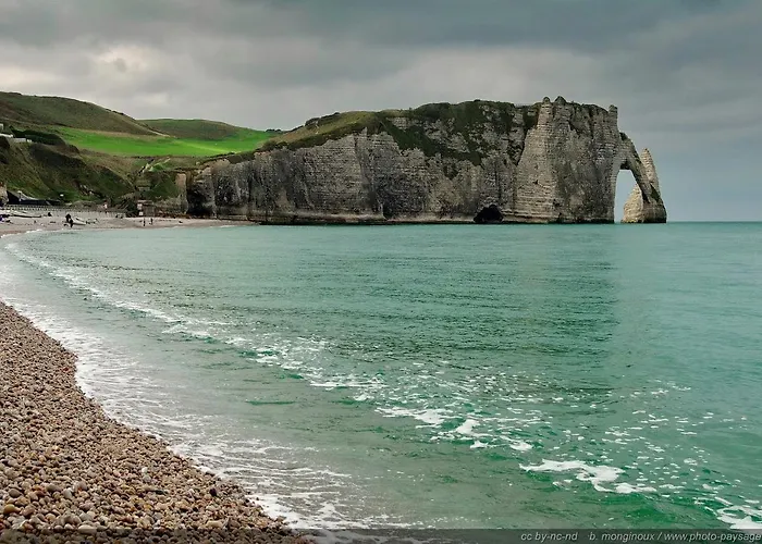 Appartement Les Floralies *
